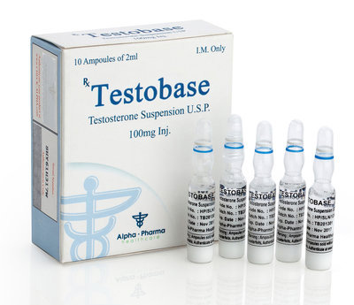 Testobase